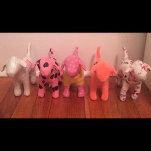 5 Victoria Secret Dogs